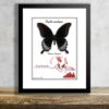 Papilio ascalapus preparovaný tropicky motyl v exkluzivnim ramecku