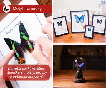 Tedy aspoň na léto! (1)